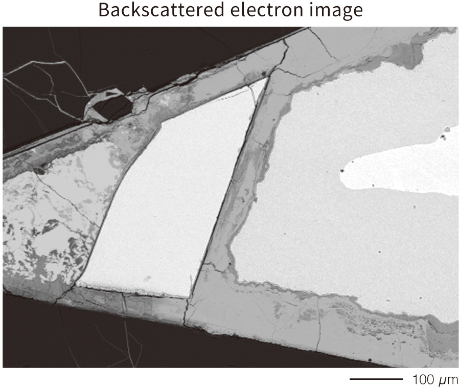 Backscattered electron image