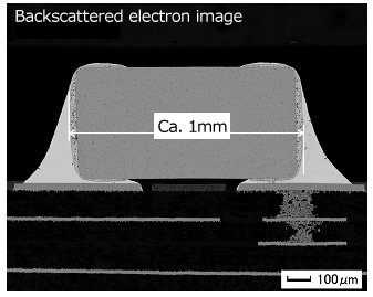 Fig. 2-1 (Electronic parts by: mobile phone sample) cross-sectional view of an electronic component according to CP