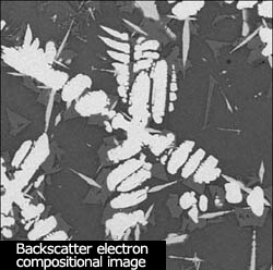 What is image observation (secondary electron image and backscattered electron image)?
