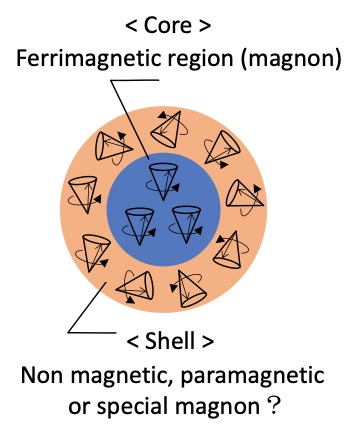 Fig. 2 Core-shell magnetic morphology.