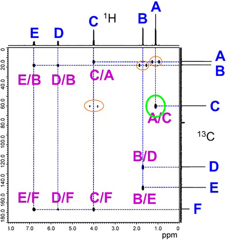 Fig. 10