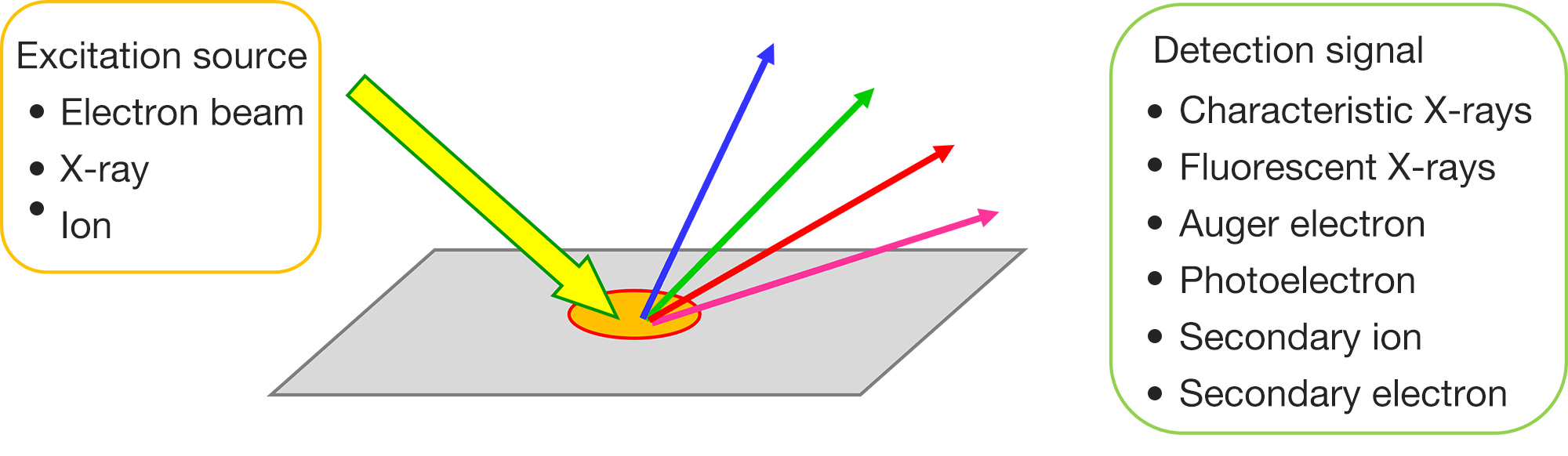 Excitation source and Detection signal