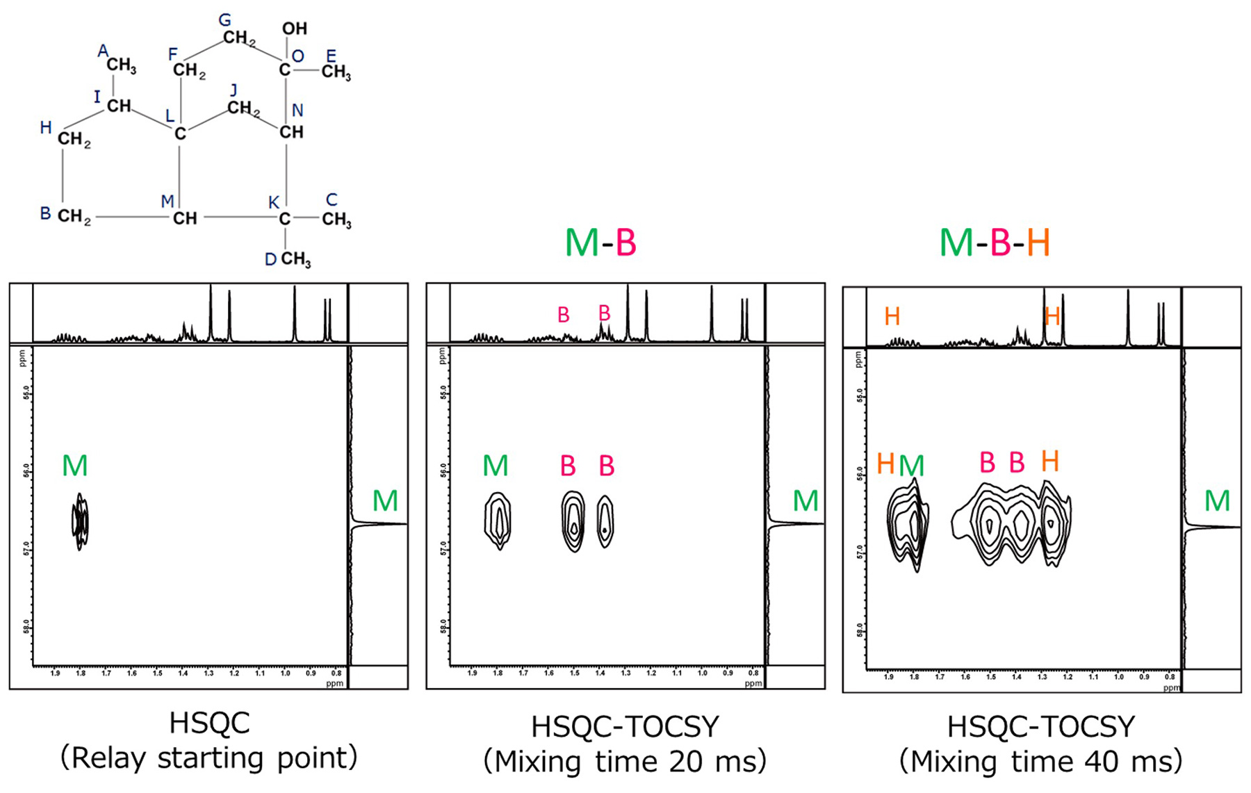 From left: HSQC (Relay starting point) → HSQC-TOCSY (Mixing time 20 ms) → HSQC-TOCSY (Mixing time 40 ms)