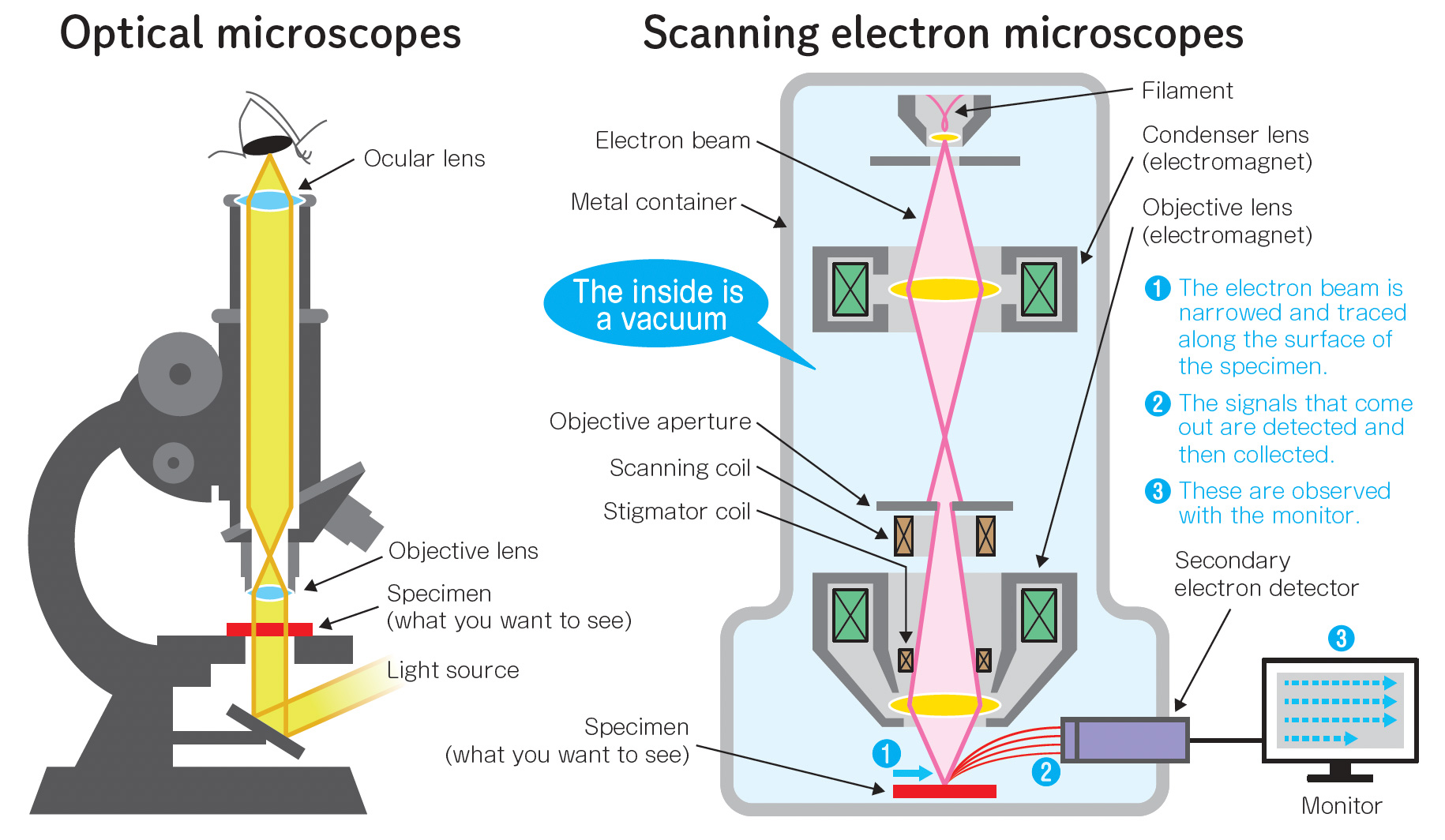 Left: Optical Microscope, Right: Scanning Electron Microscope