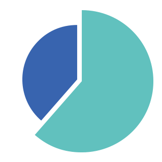 Overseas sales ratio