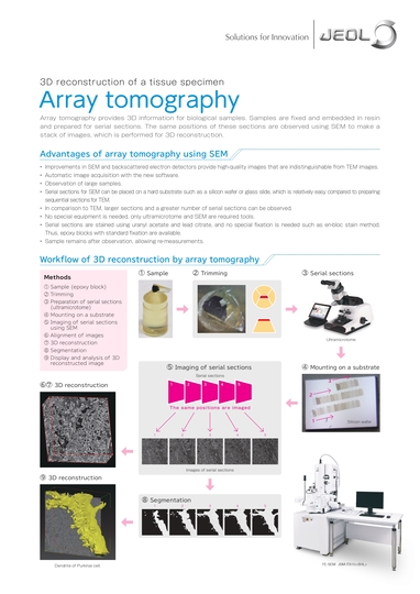 SEM Array Tomography