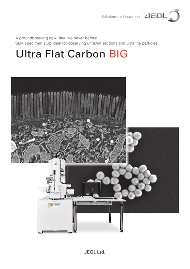 Ultra Flat Carbon BIG