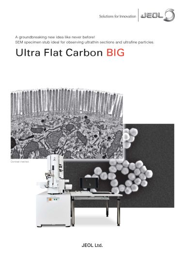 Ultra Flat Carbon BIG