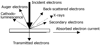 fig.1