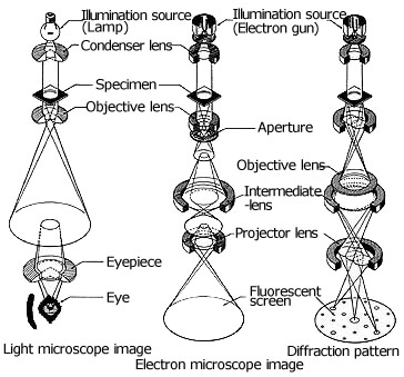 The difference between Electron Beam and Light