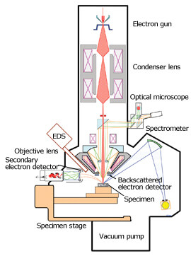 What is the structure of EPMA?