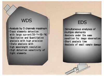 Apakah perbezaan antara spektrometri WDS dan EDS?