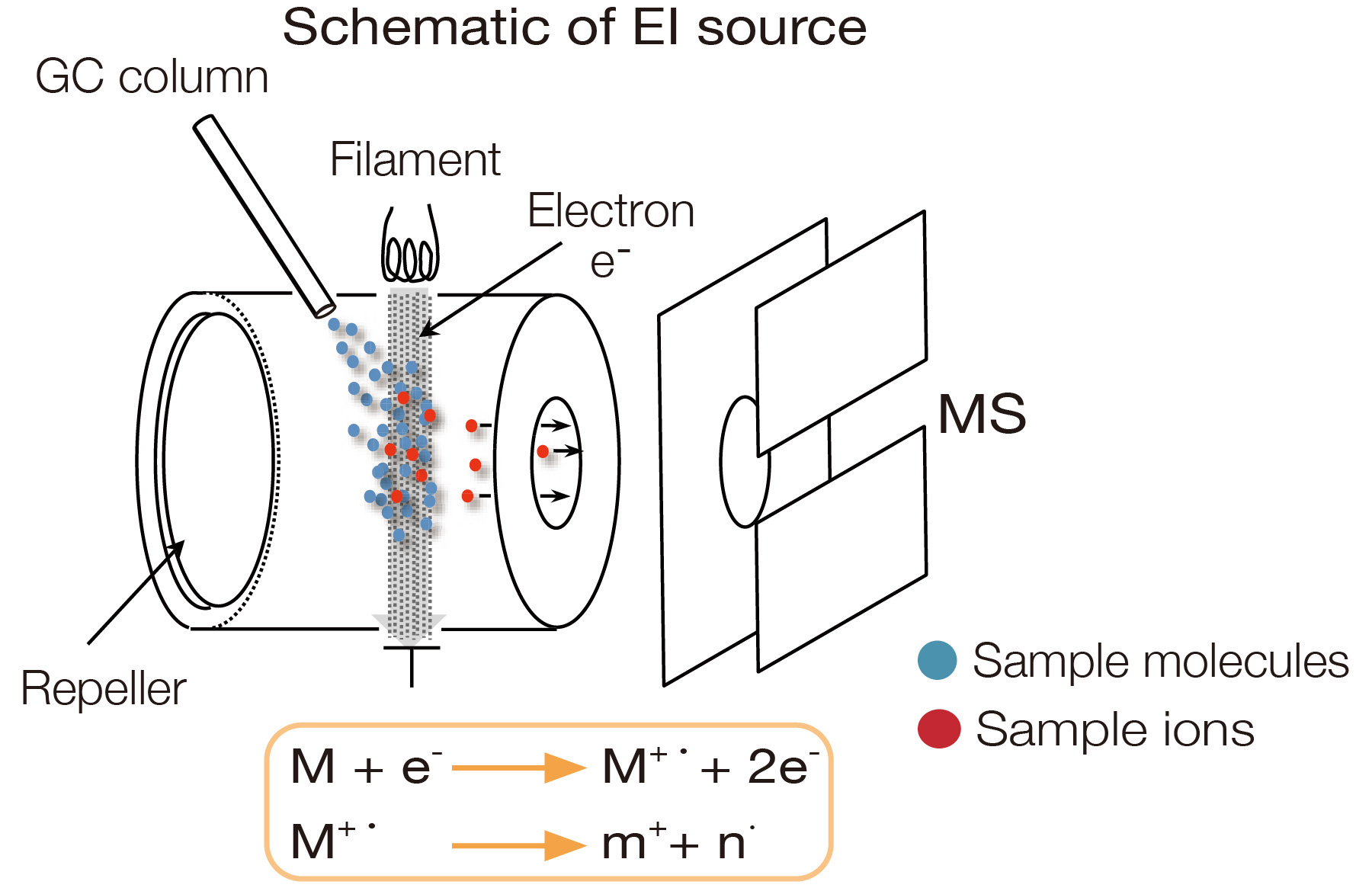 Schematic of EI source