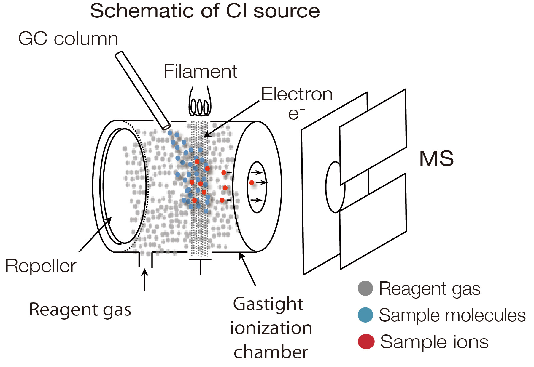 Schematic of CI source