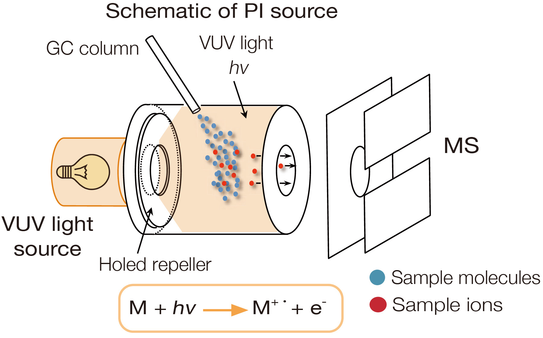 Schematic of PI source