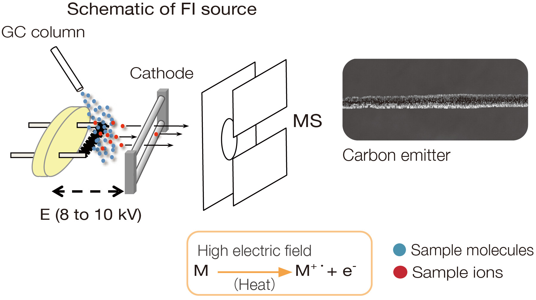 Schematic of PI source