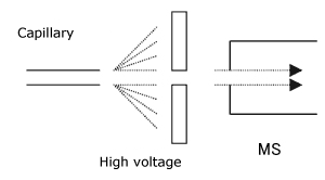 1) ESI Method