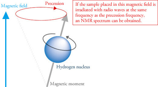 สเปกตรัม NMR