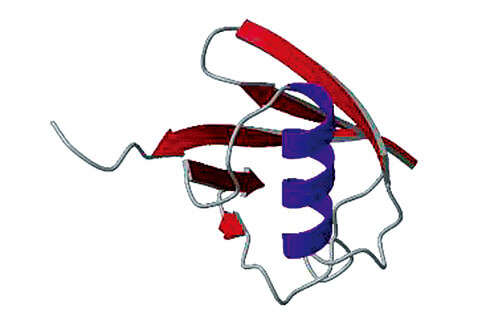 Dynamics(chemical reaction speed, identification of binding site, interaction)