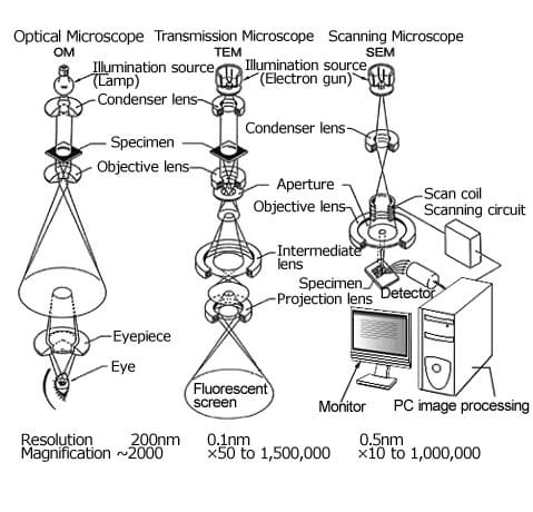 Observation of the micro world using electrons