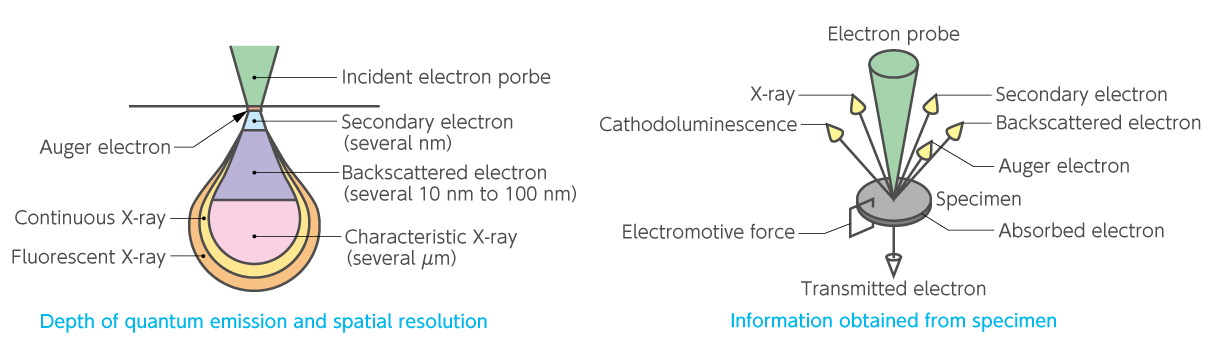 Mengapakah spesimen boleh diperhatikan dengan elektron?