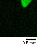 Photoelectron image Zn