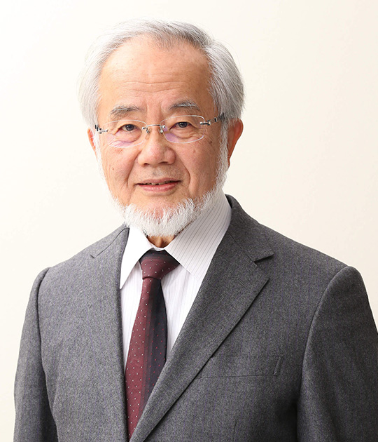 Yoshinori Ohsumi, Ph.D.