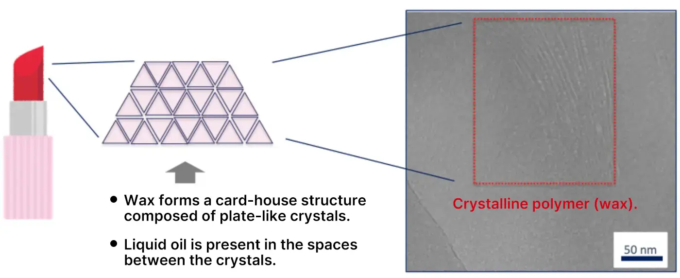 Wax forms a card-house structure composed of plate-like crystals. Liquid oil is present in the spaces between the crystals.