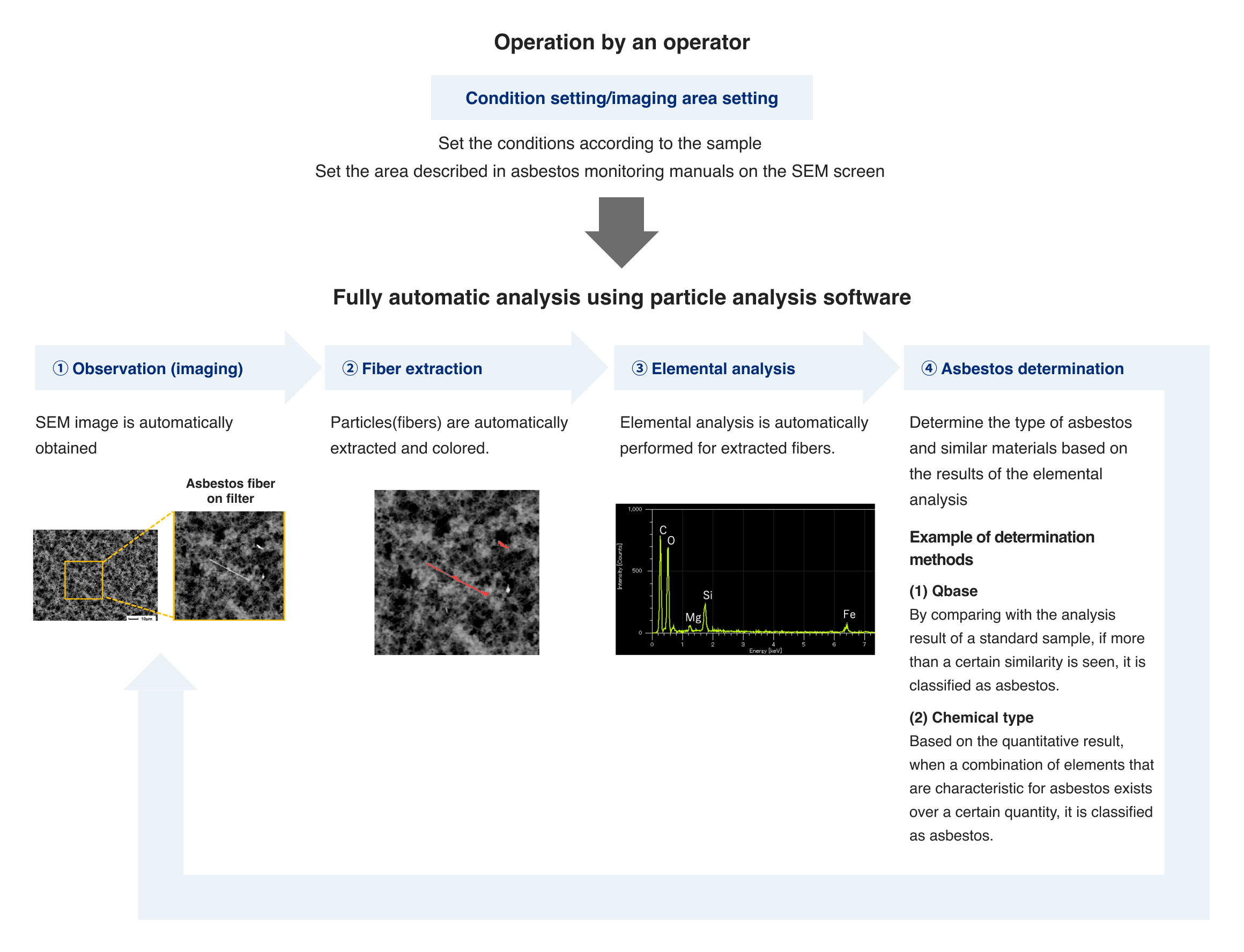Operation by an operator (Condition setting/imaging area setting) → Fully automatic analysis using particle analysis software (1. Observation (imaging), 2. Fiber extraction, 3. Elemental analysis, 4. Asbestos determination) → Moving to the next field
Automatically repeating until the designated area is completed.