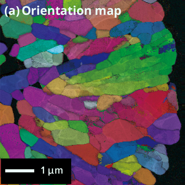(a) Orientation map