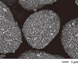 JEOL lancia il nuovo microscopio elettronico a scansione ed emissione di  campo Schottky JSM-IT800 - Tecnomedicina