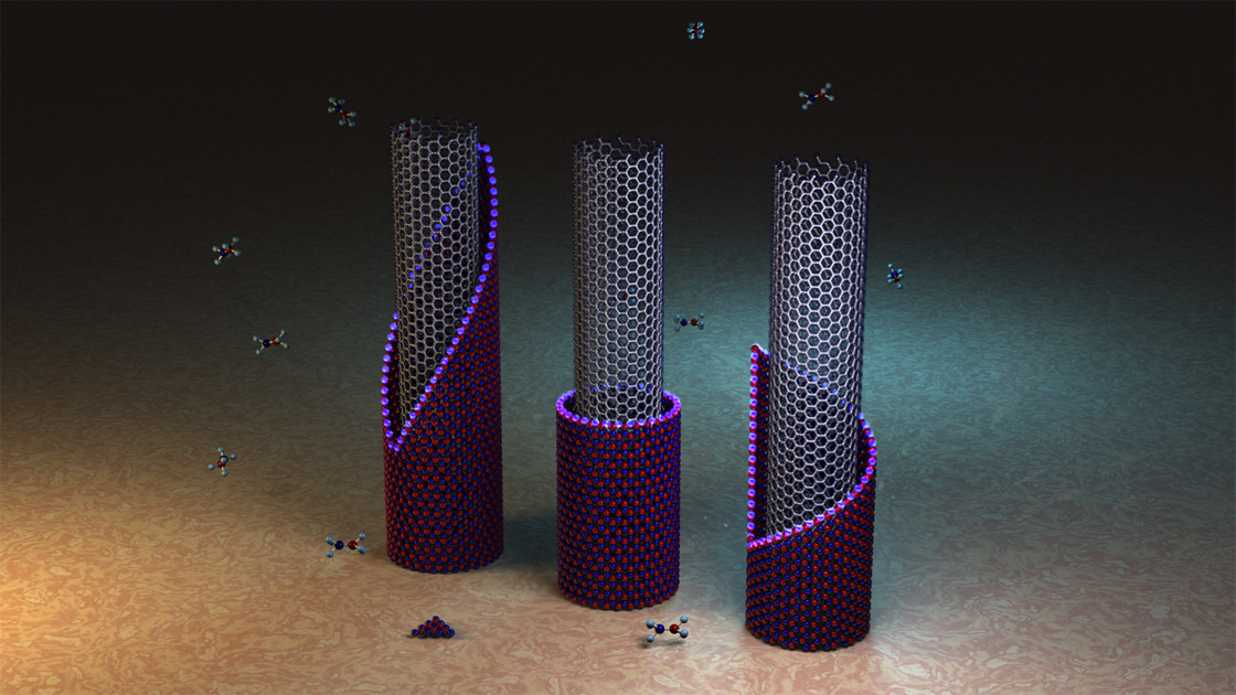 Crystal growth of free-standing one-dimensional heterostructure (CNT@BNNT)