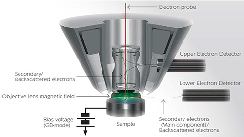 Meander Postcode Pigment JSM-7610FPlus Schottky Field Emission Scanning Electron Microscope |  Products | JEOL Ltd.