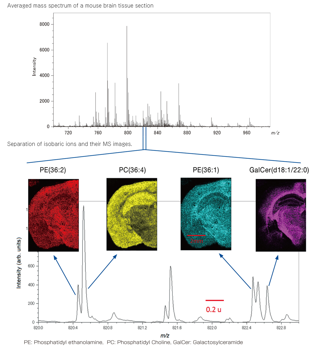 JMSS3000 SpiralTOF™plus 2.0 Mass Spectrometry Imaging System