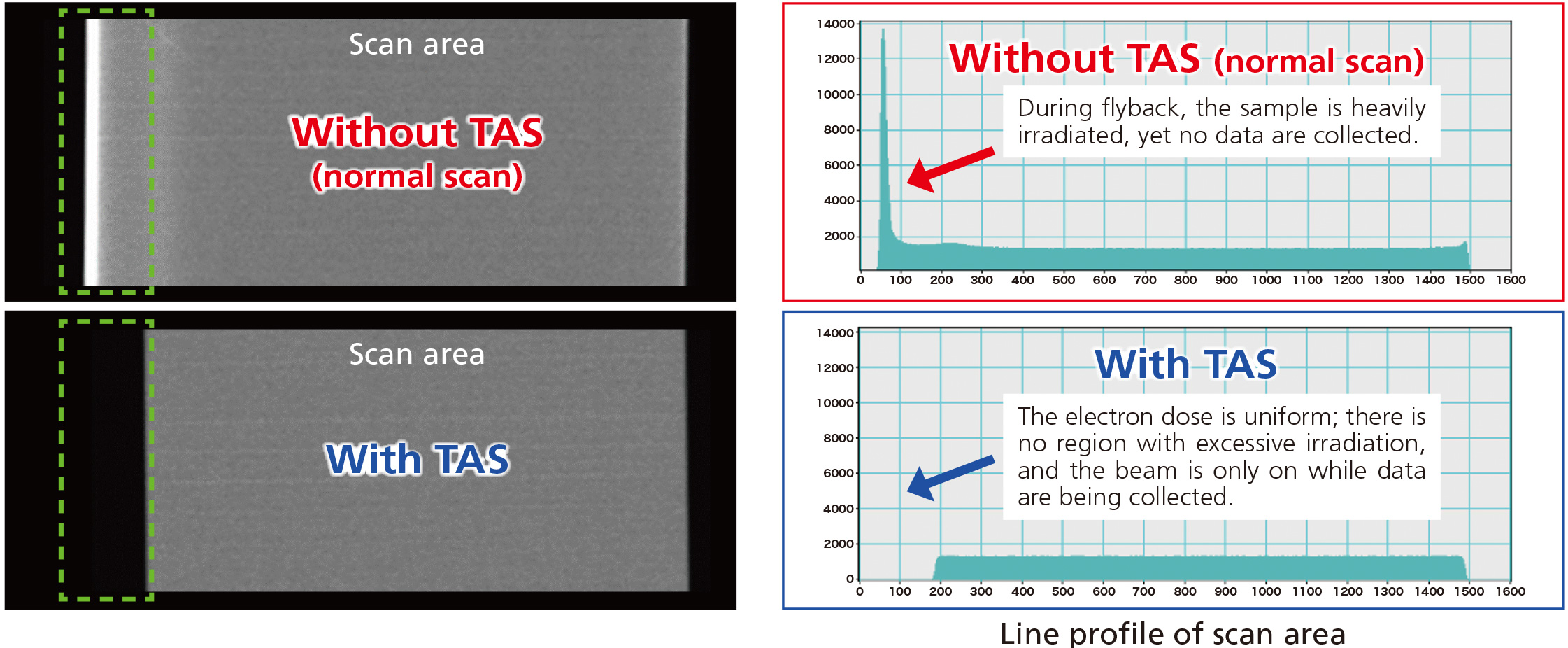 Line profile of scan area