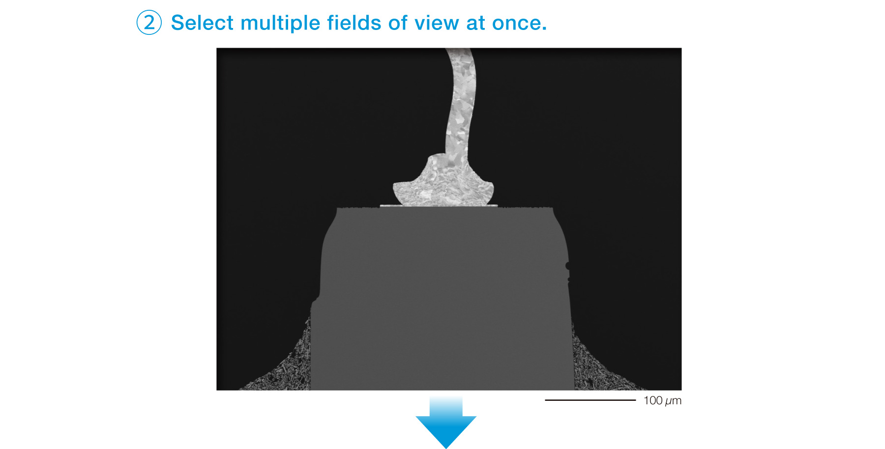 2. Select multiple fields of view at once.