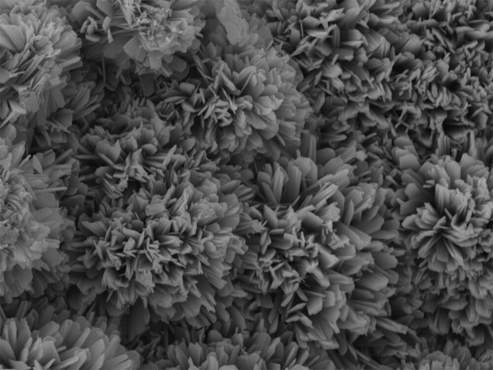 Metal fracture surface | Amazing microscopic world | JEOL Ltd.