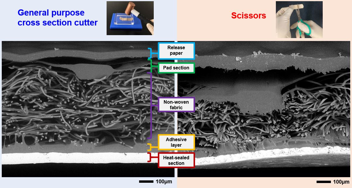 Adhesive plaster | Amazing microscopic world | JEOL Ltd.