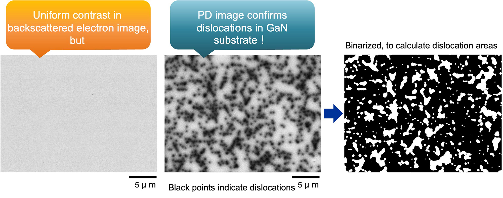 Uniform contrast in backscattered electron image, but
, PD image confirms dislocations in GaN substrate！ → Binarized, to calculate dislocation areas