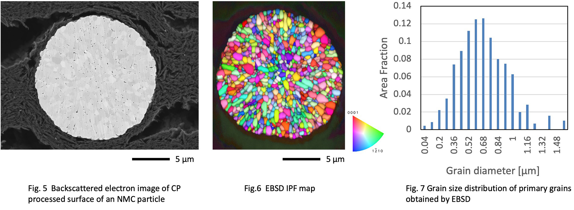 Fig. 5  Backscattered electron image of CP processed surface of an NMC particle, Fig.6  EBSD IPF map, Fig. 7 Grain size distribution of primary grains obtained by EBSD
