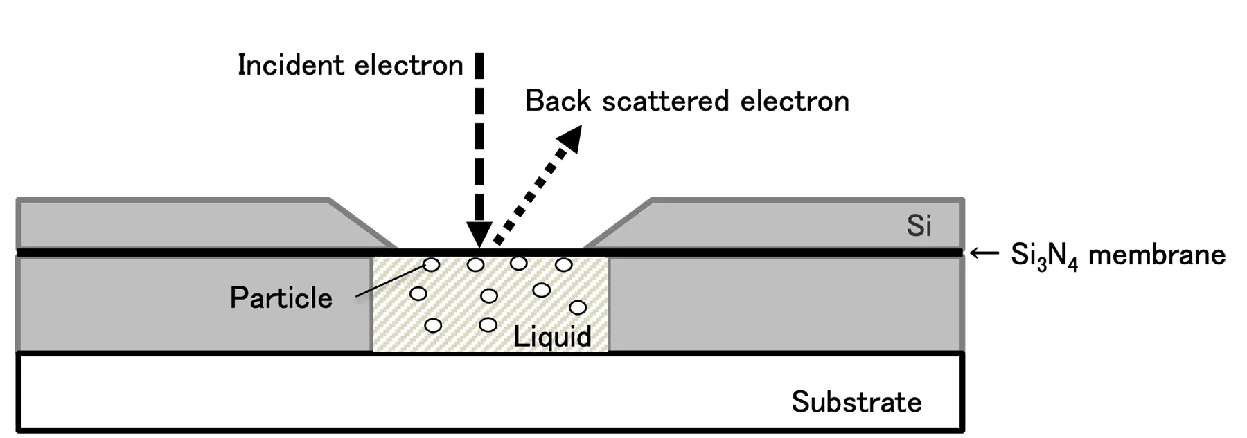 High-resolution observation of pigments using a liquid-cell holder ...
