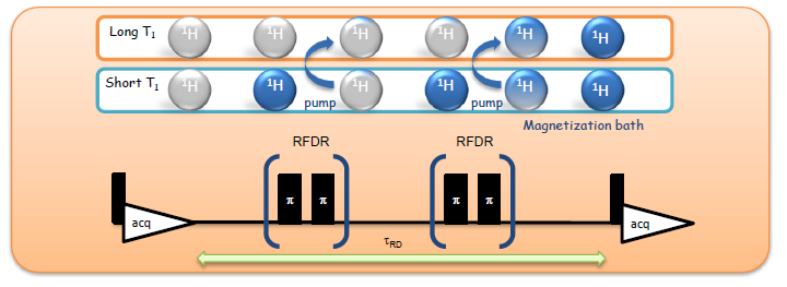 How RFDR helps to recover magnetization.