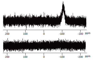 29Si spectra without sample