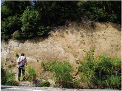 Figure3. sampling of quartz