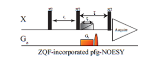 ZQFを加えたpfg-NOESY