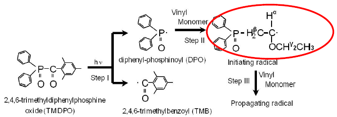 Fig.1 Radical Polymerization Scheme Initiated by Photochemical Reaction