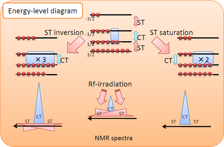 NMR spectra
