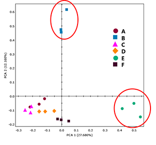 PCA score plot for Polyvinyl acetate samples.