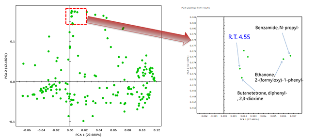 PCA loading plot for Polyvinyl acetate samples.