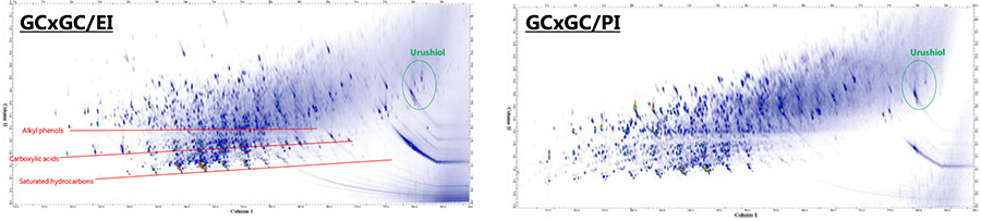 GCxGC/EI and PI TIC chromatograms